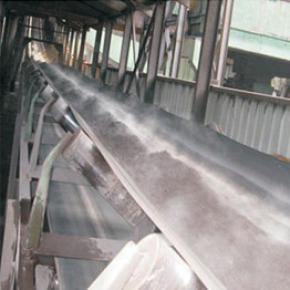 Chemical Resistant Conveyor Belt