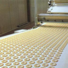 Food Grade Rubber Conveyor Belt